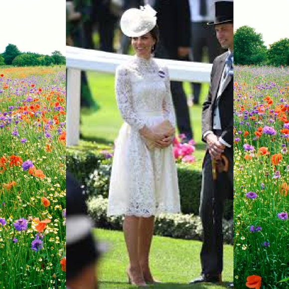 Elegant White Lace Midi Dress - Picture 6 of 12